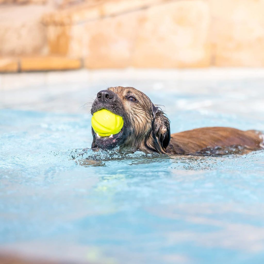 Hyper Pet Fetching Dog Toys - Throwing Ball Dog Toy Made with EVA Foam - Lightweight & Floats on Water,Green