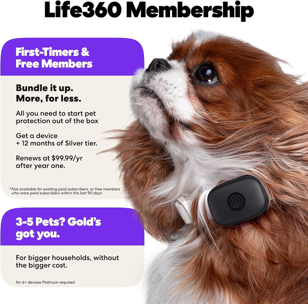 Life360 Pet GPS Tracker for Dogs | Live Tracking, Escape Alerts & Lost Pet Network | Up to 14 Days Battery | 12-Month Silver Subscription Included for New & Free Members | 1-Pack, Black