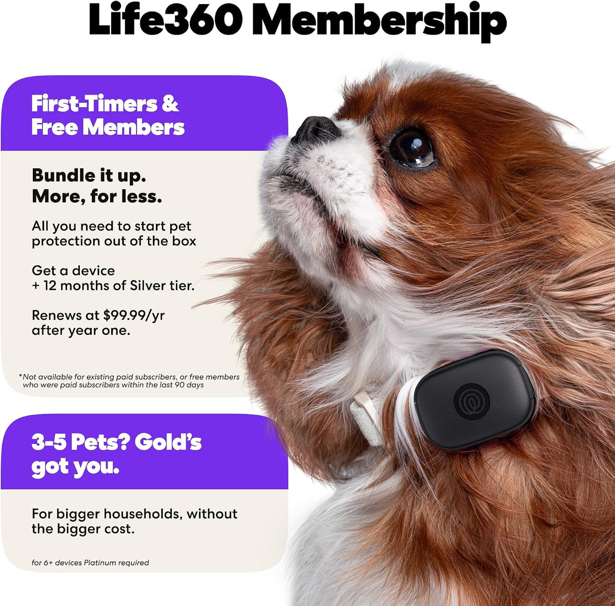 Life360 Pet GPS Tracker for Dogs | Live Tracking, Escape Alerts & Lost Pet Network | Up to 14 Days Battery | 12-Month Silver Subscription Included for New & Free Members | 1-Pack, Black