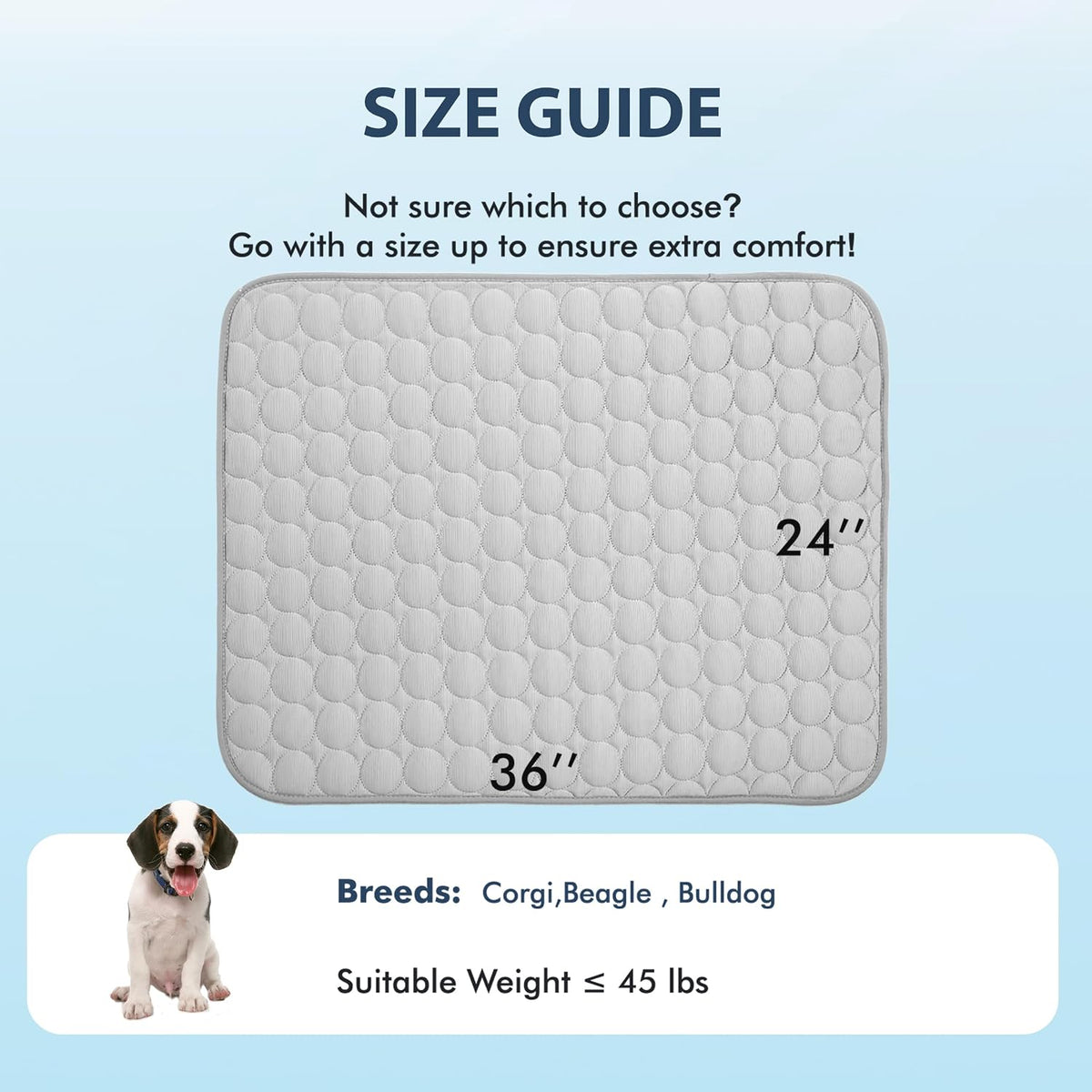 MICROCOSMOS Summer Cooling Mat & Sleeping Pad- Water Absorption Top, Materials Safe, Easy Carry, EZ Clean. Keep Cooling for Pets, Kids and Adults.(Grey, 36" x24")