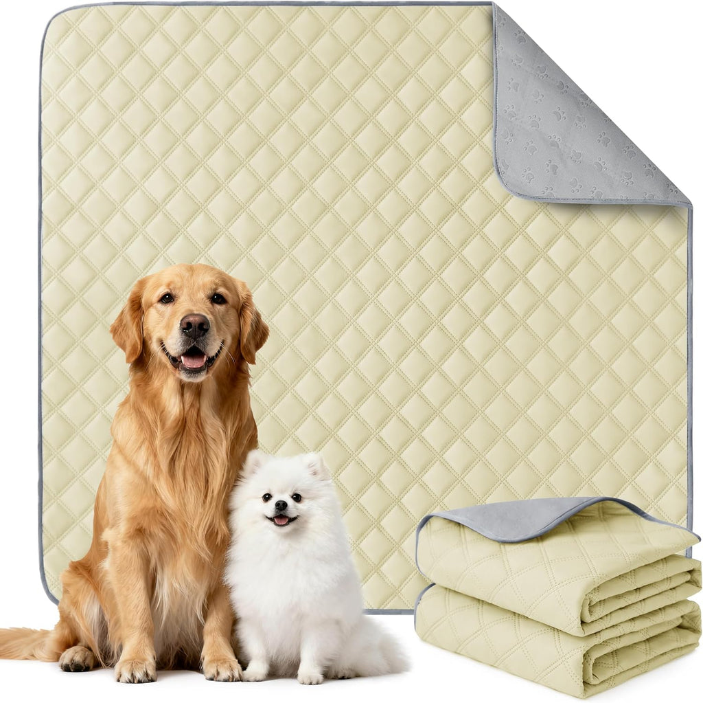 Eterish Washable Pee Pads for Dogs Extra Large 48'' x 60'' 2 Pack | Reusable Absorbent Pet Puppy Dog Training Pads Non-Slip, Waterproof Whelping Potty Pads for Dogs Leak-Proof