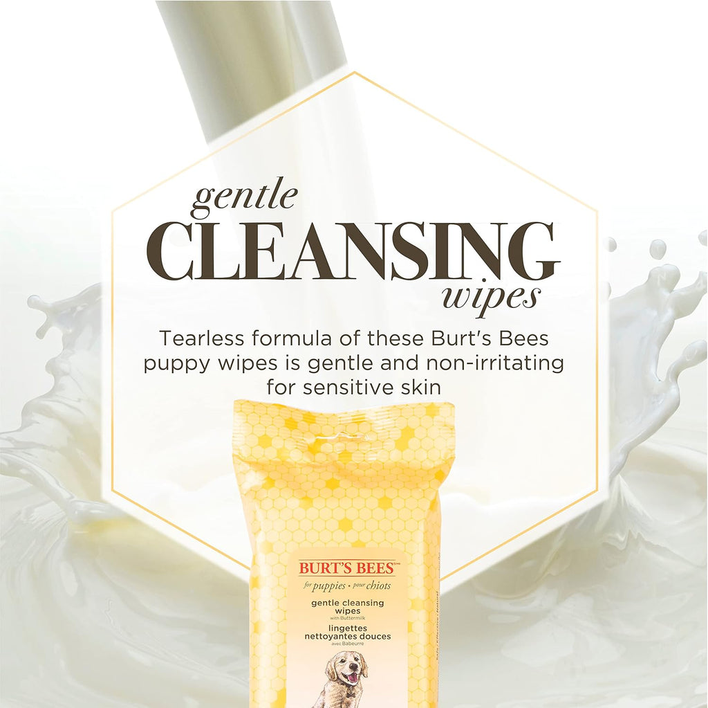 Burts Bees for Pets Gentle Cleansing Puppy Wipes, Buttermilk, 50 Count