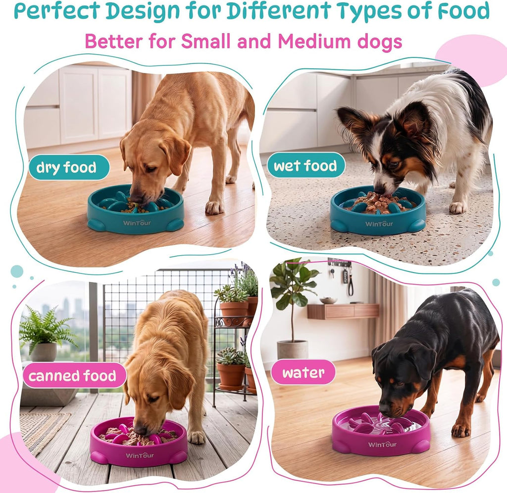 WinTour 2 Pack Slow Feeder Dog Bowls, BPA Free, Medium & Small Dog Bowls