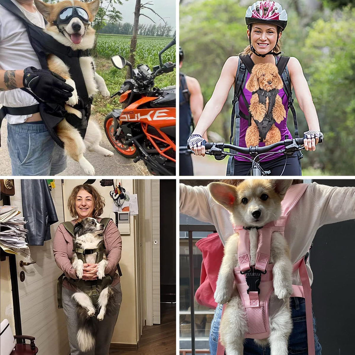 PetBonus Dog Front Carrier Backpacks, Legs Out Easy-fit Puppy Chest Carrier