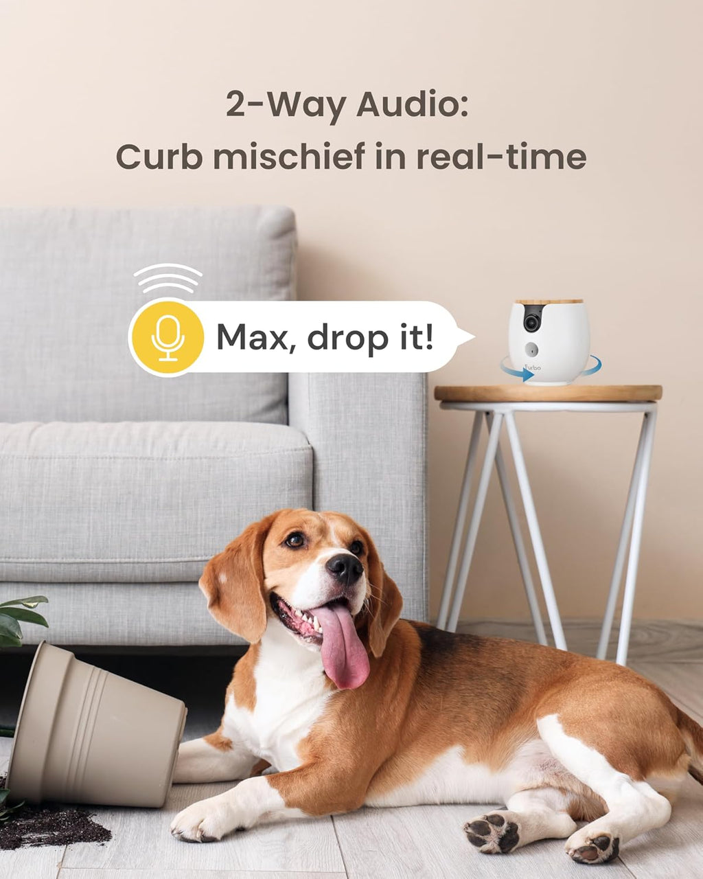 Furbo Mini 360° Camera [Core Features, No Ongoing Cost]