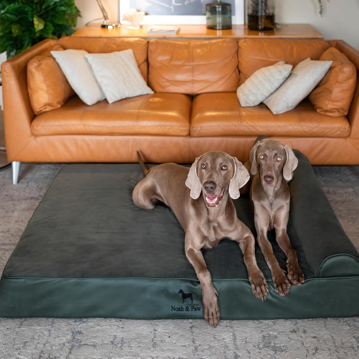 NOAH & PAW XXL Dog Bed Orthopedic Memory Foam Cooling Gel 55x45x9.5 in