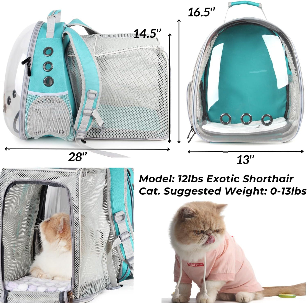 Lollimeow Expandable Bubble Cat Carrier Backpack, Supports up to 14 lbs
