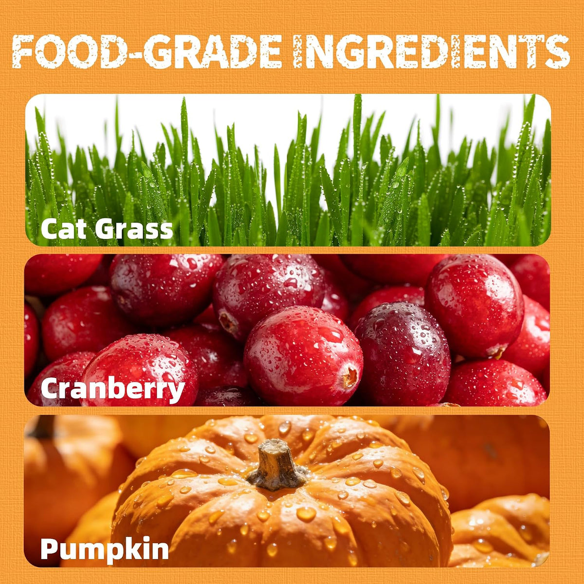 Just Try Cat Grass Treats with Cranberry & Pumpkin, 36 oz
