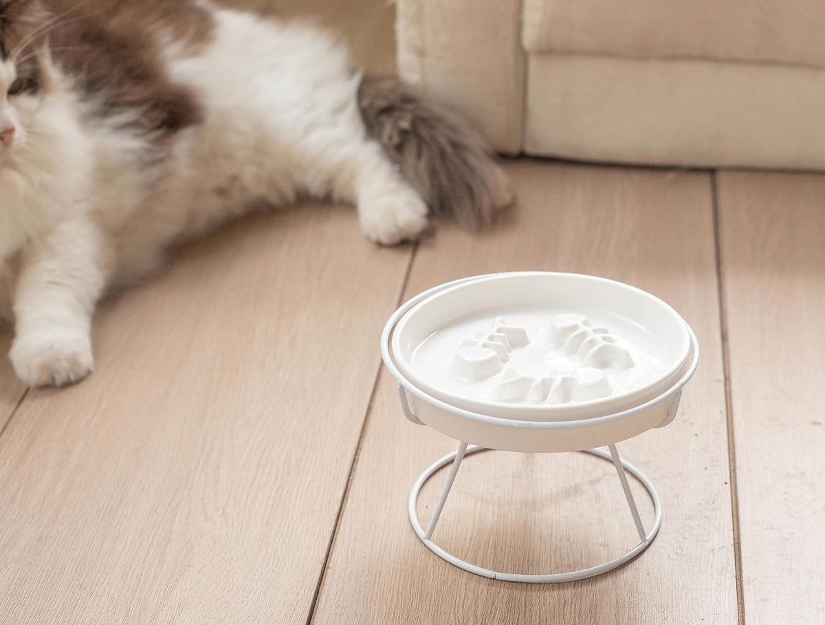 Ceramic Elevated Slow Feeder Cat Bowl, Anti Vomit, Removable Dish, White