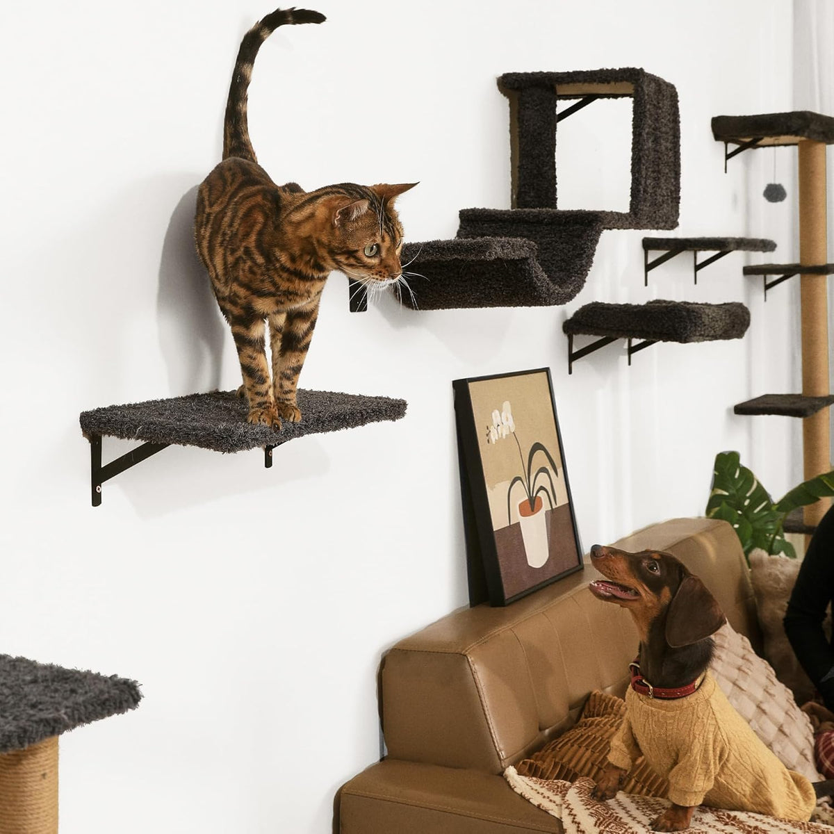 FUKUMARU Cat Wall Shelves, 4 in 1 Set, Grey