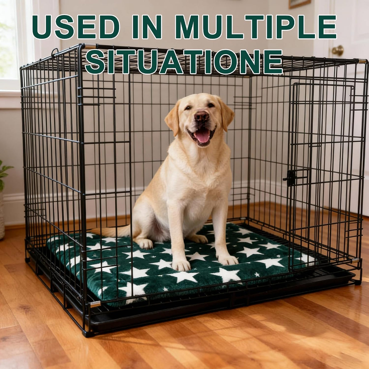 Dog Bed Mat – Soft & Comfortable Dog Kennel Pad for Crate – Durable Crate Bed & Mat for Dogs & Cats – Ideal for Crate, Kennel, and Home Use (Big&Little Stars Green, L(35"*23"*1.5"))
