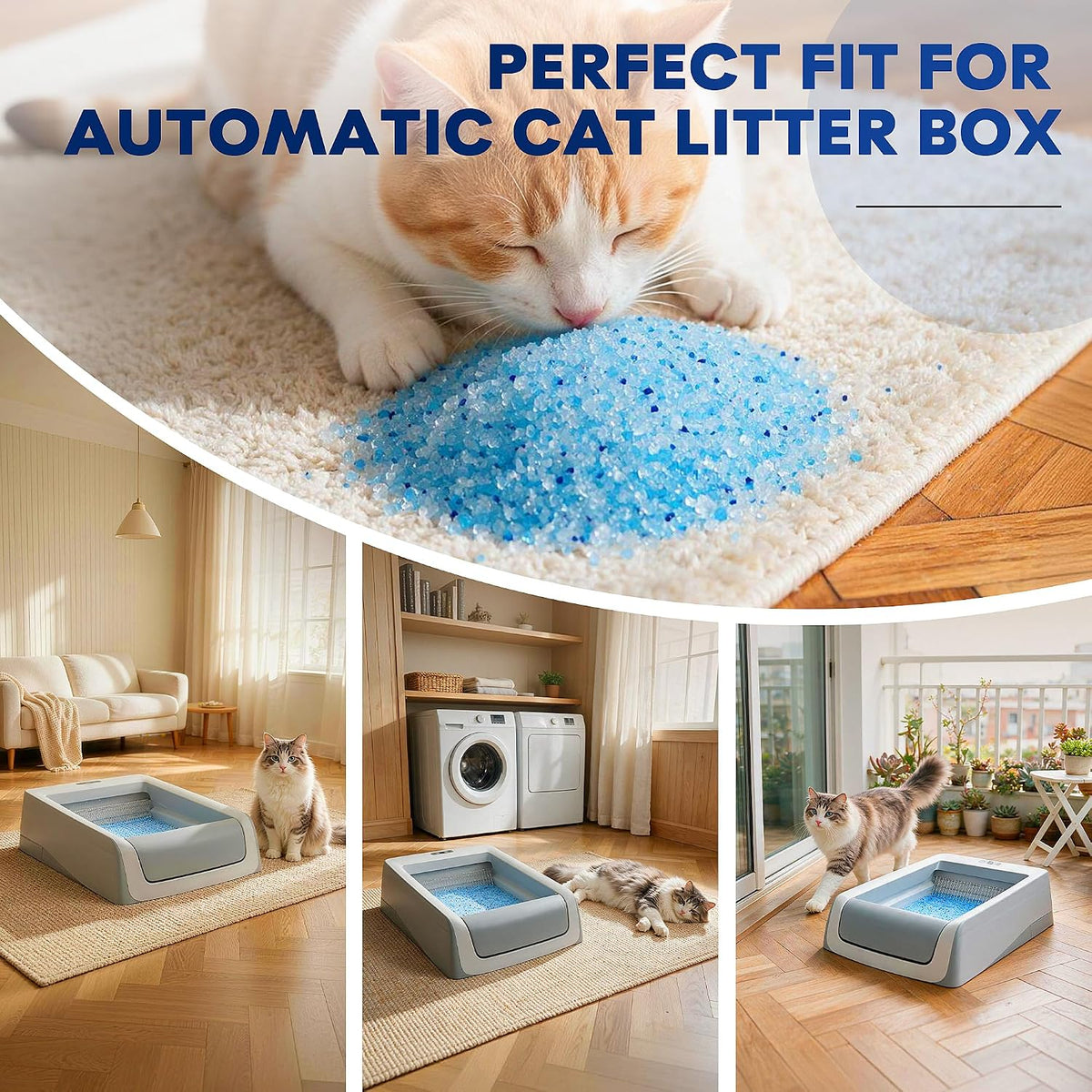 Crystal Cat Litter Tray Refill for PetSafe Litter Box, Blue 6-Pack | Pre-Filled Disposable Tray for Auto Self-Cleaning Machine, No-Scoop Replacement Liner, Non-Clumping Silica, Odor/Leak-Proof