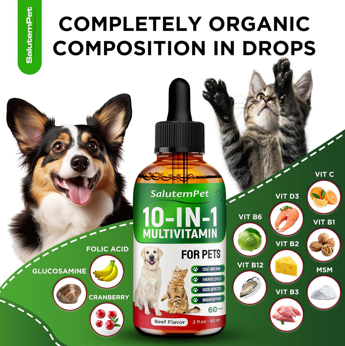 Сat Vitamins for Indoor Cats – Liquid 10-in-1 Multivitamin for Dogs – C, D3, B Group, for Skin, Coat, & Breathing – Natural Protection for Pets of All Ages – For Digestion & Bones – Beef Flavor – 2 Oz