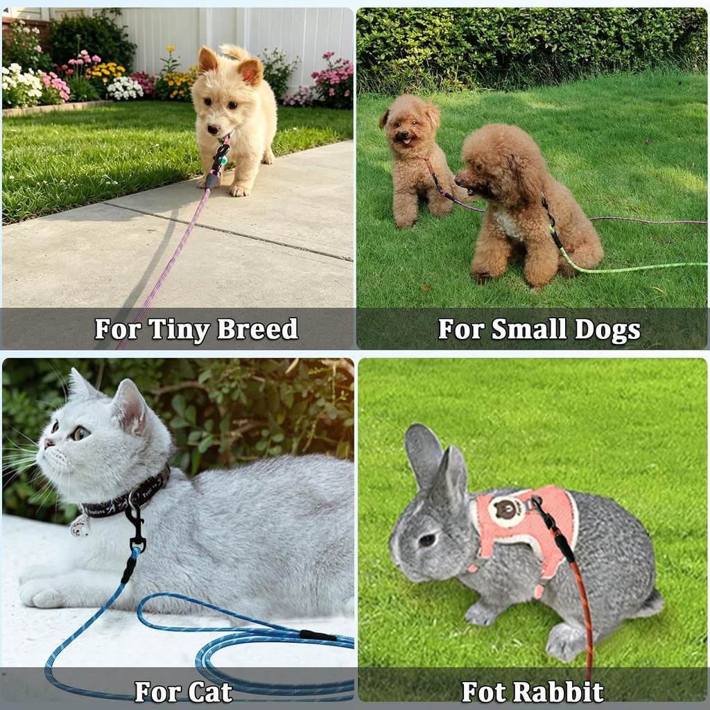 WYuZe 1/5" Reflective Extra Small Dog Leash 10ft Lightweight Rope Cat Leash