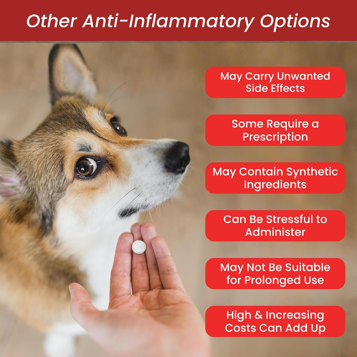 Glacier Peak Holistics Inflapotion Hip & Joint Support for Dogs & Cats 3 oz