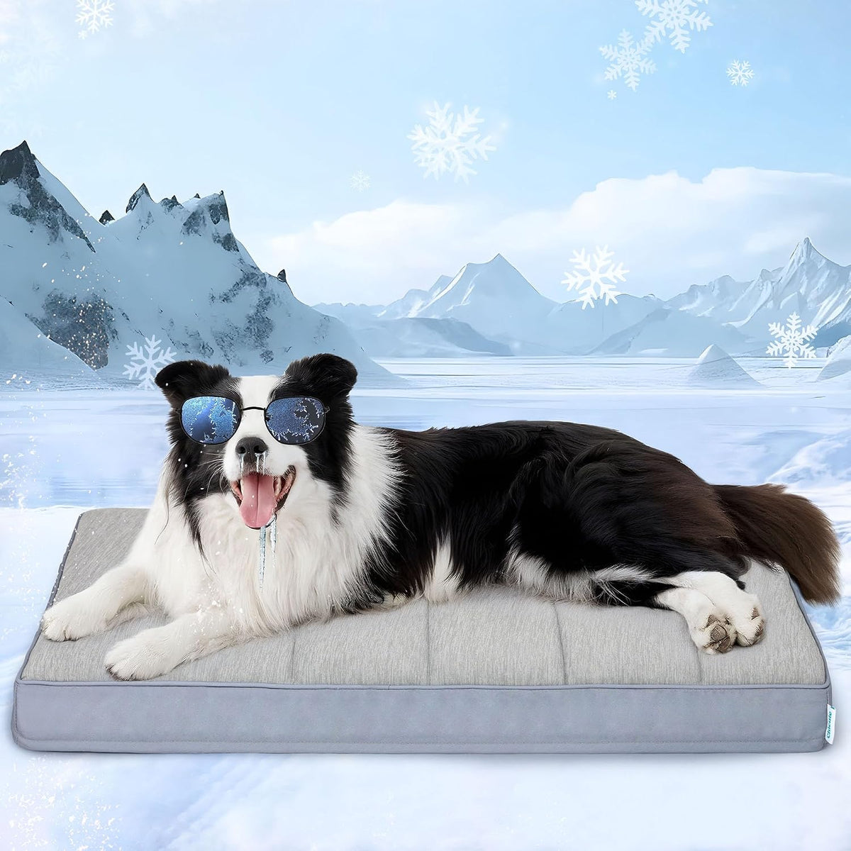 Cooling Dog Bed for Large Dogs, QMAX>0.5 Waterproof Pet Beds