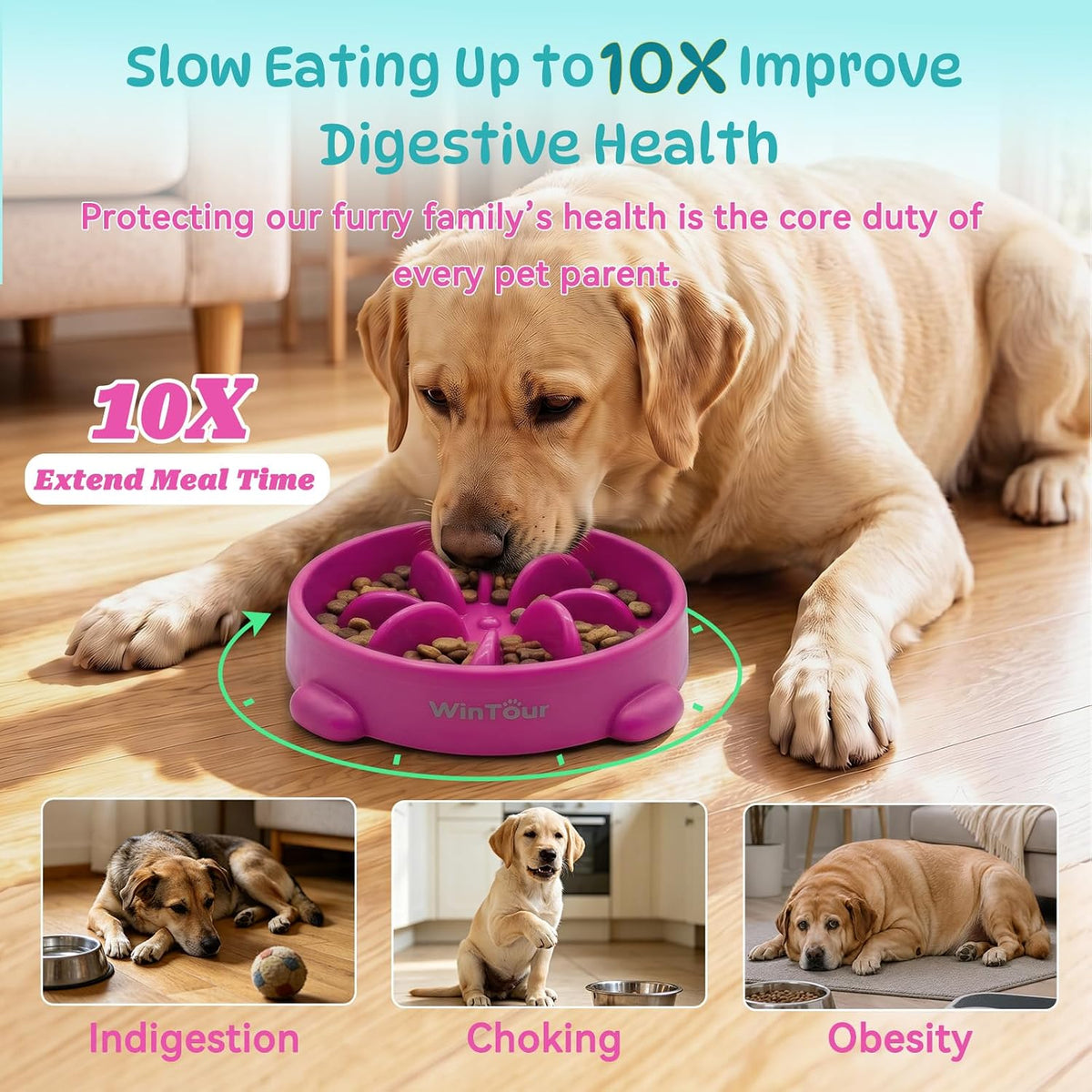 WinTour 2 Pack Slow Feeder Dog Bowls, BPA Free, Medium & Small Dog Bowls