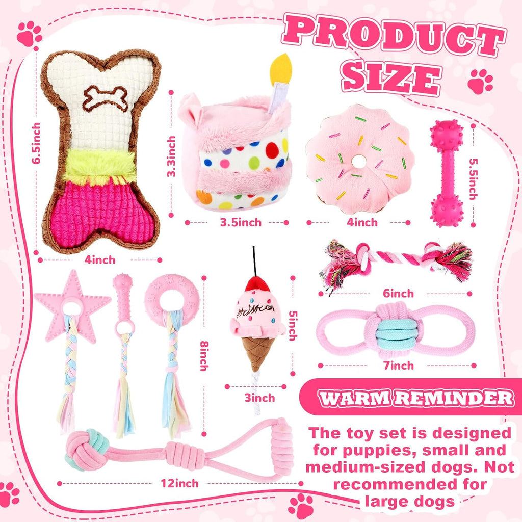 RoundFunny 11 Pcs Dog Birthday Toys Gift with Box, Classic, Pink