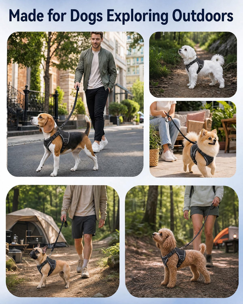 Escape Proof Dog Harness and Leash Set with Pocket