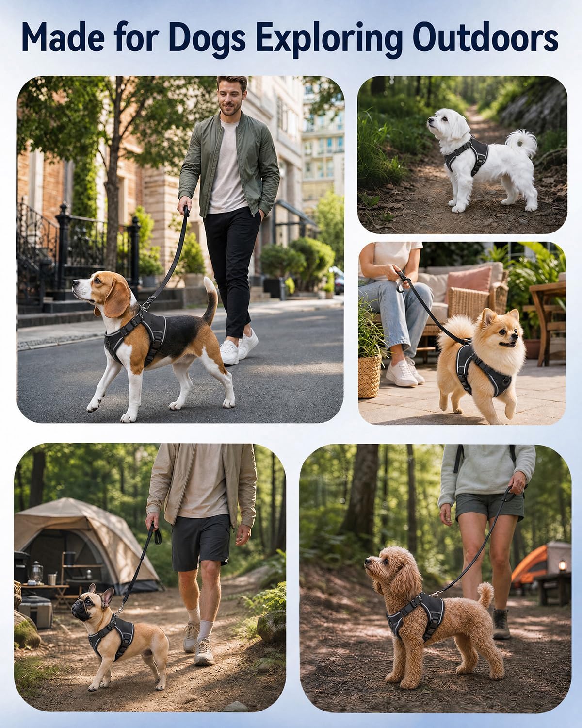 Escape Proof Dog Harness and Leash Set with Pocket