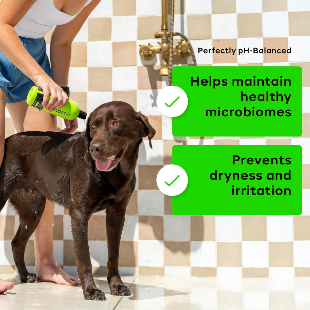 Nonaste Oatmeal Dog Shampoo & Pet Stain Odor Eliminator Set, 16 oz, Pk 2