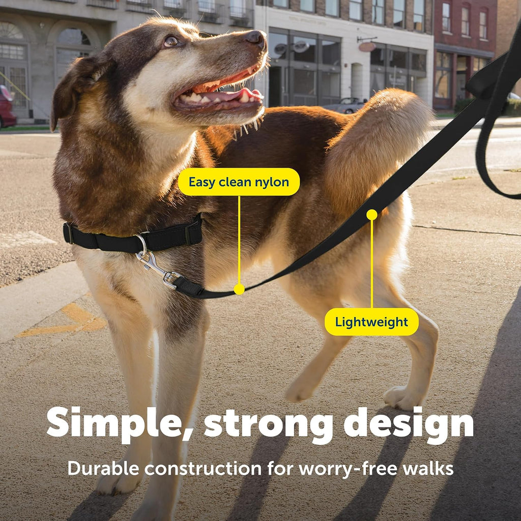 PetSafe Nylon Dog Leash - Strong, Durable, Traditional Style Leash with Easy to Use Bolt Snap - 1 in. x 4 ft., Black