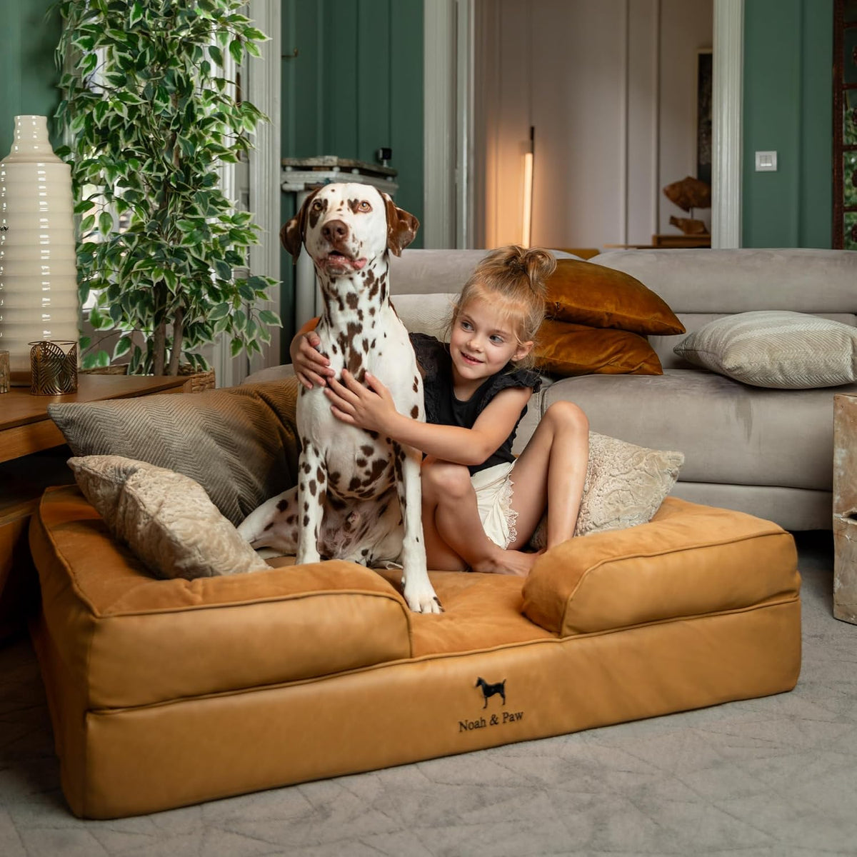 NOAH & PAW Large Dog Bed, Orthopedic Memory Cooling Foam (2X Base) 45x35x11