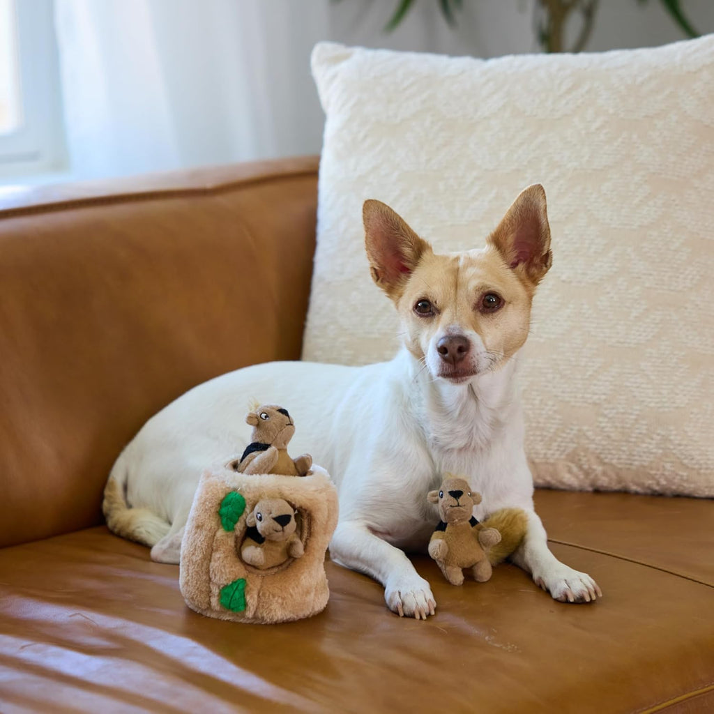 Outward Hound Hide-A-Squirrel Dog Toy – Interactive 2‑in‑1 Plush Puzzle with 3 Squeaky Removable Squirrels, Small (Pack of 12)