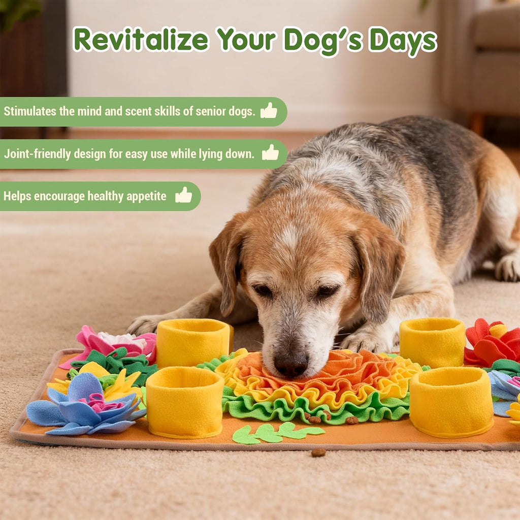 Avont Snuffle Mat for Dogs, Interactive Sniffing Feeding Puzzle Slow Feeder