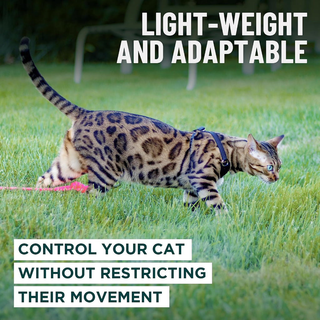 OutdoorBengal Houdini™ Escape Proof Cat Harness and Leash (Black, S)