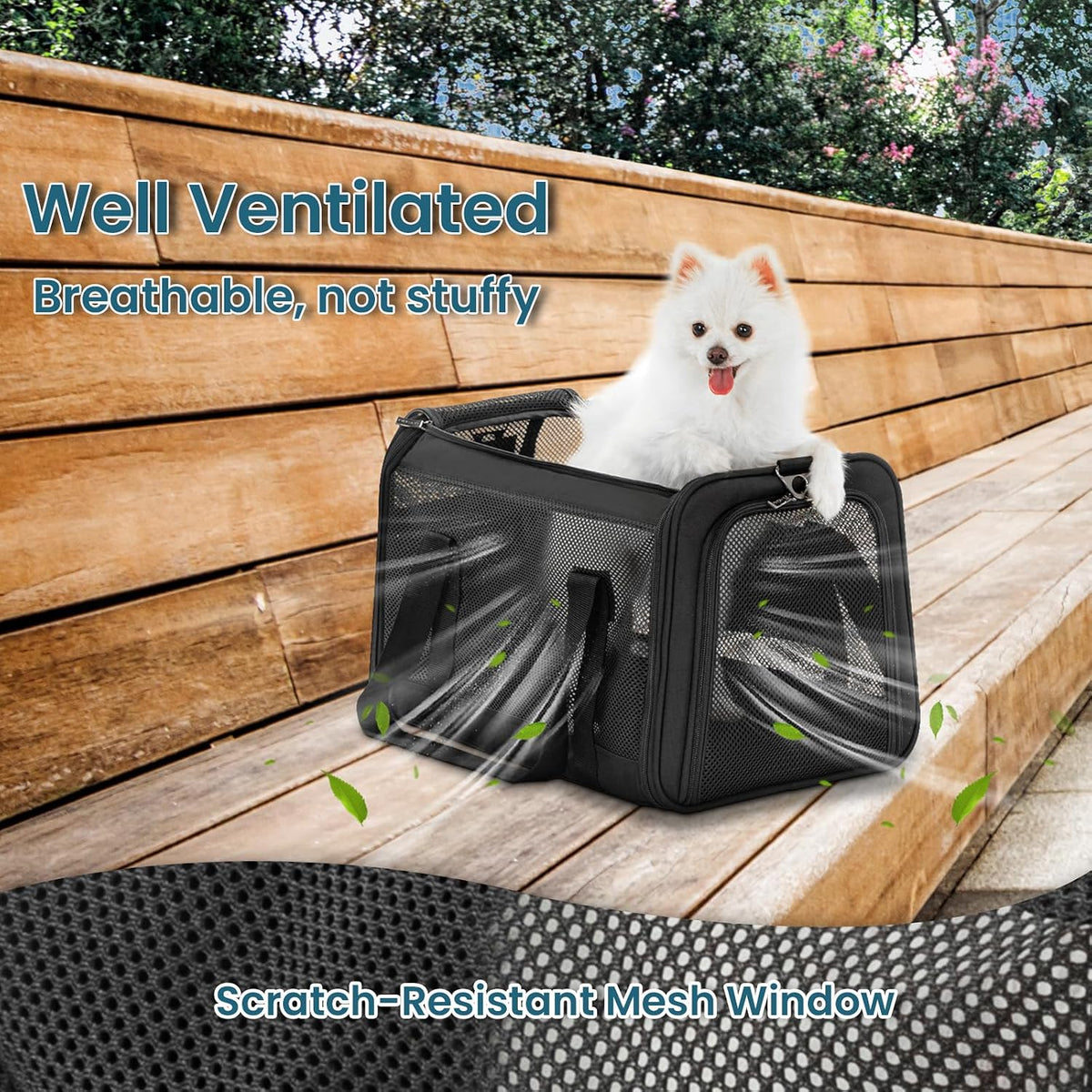 PETSFIT 19 x 12 x 12 Large Cat Carrier