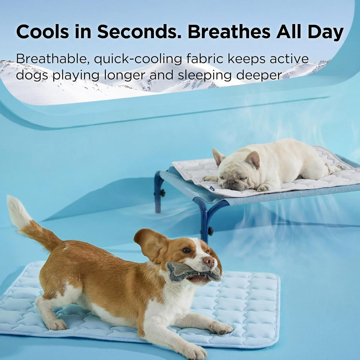 Bedsure ArcticMax™ Cooling Mat for Small Dogs,Q-Max>0.5 Chill Fiber,24In