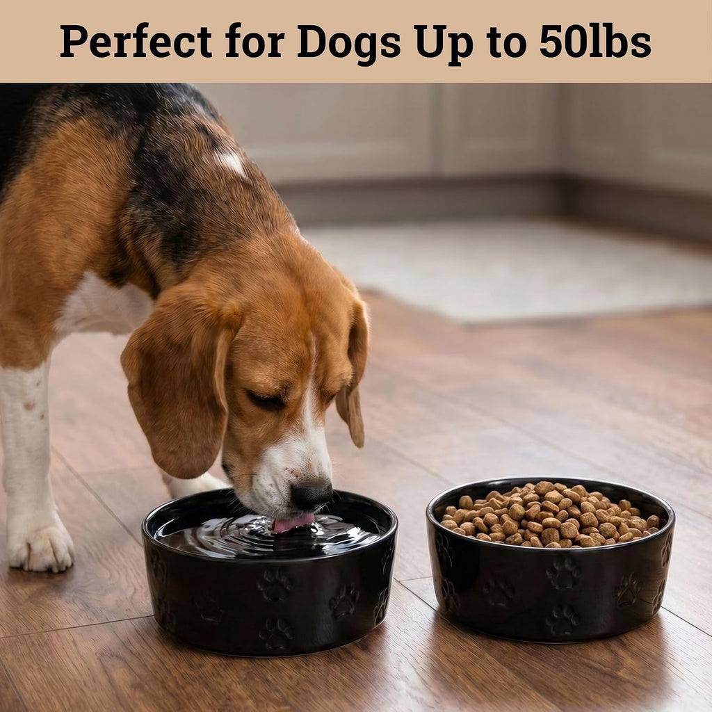 Ceramic Dog Bowl Set of 2 w/ Anti-Skid Base 6.5"W x 2.5"H, 3.8 Cup Capacity