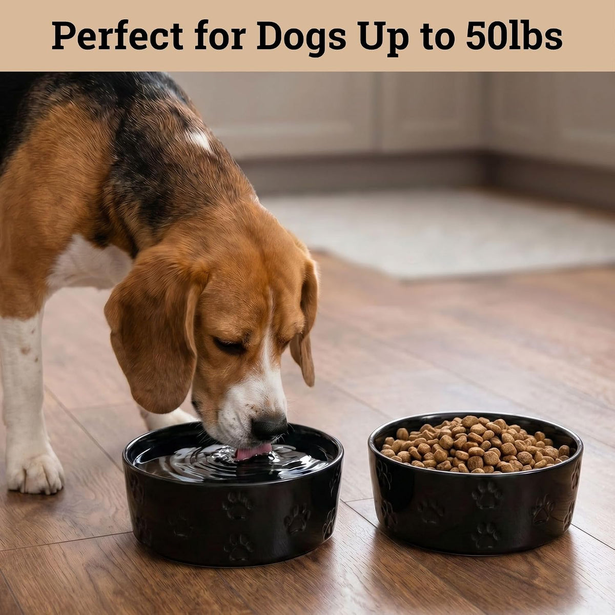 Ceramic Dog Bowl Set of 2 w/ Anti-Skid Base 6.5"W x 2.5"H, 3.8 Cup Capacity