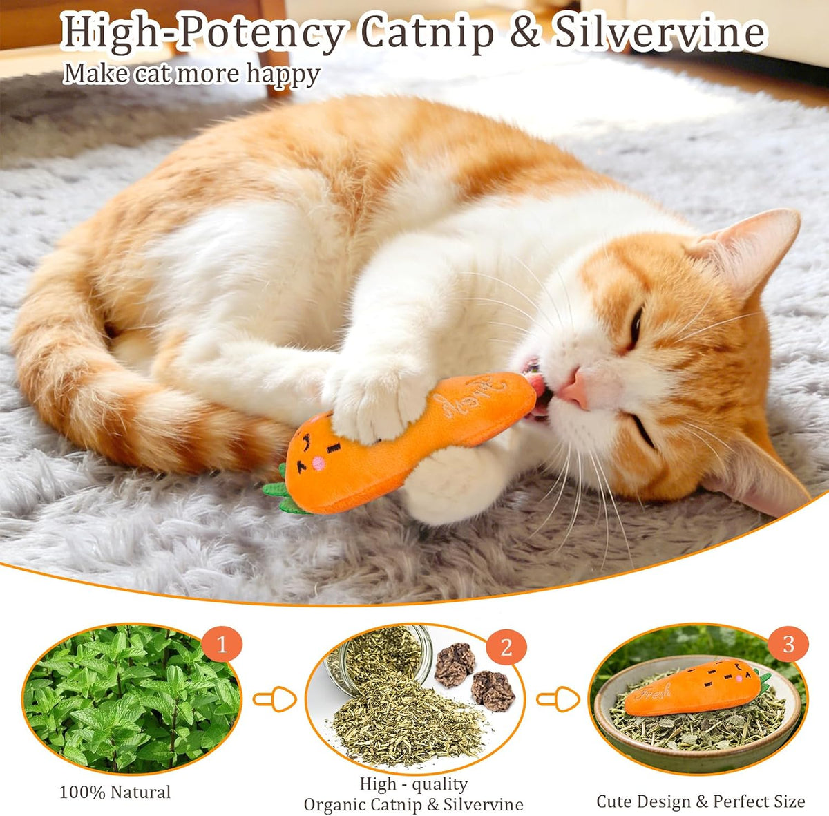 ETEKYER Catnip Cat Toys for Indoor Cats Kitten, 5 Pack, Vegetable Shape | Cat Nip Toys Soft and Durable, Interactive Kitty Kicker Chew Safe Teeth Cleaning Toy