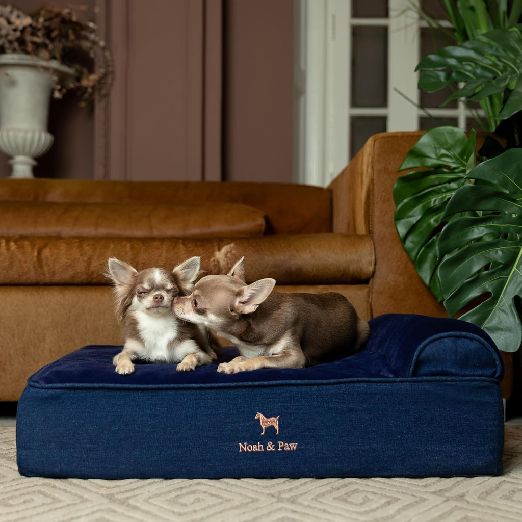 NOAH & PAW Medium Dog Bed Orthopedic Memory Foam Cooling Gel 28x23x7.5 in