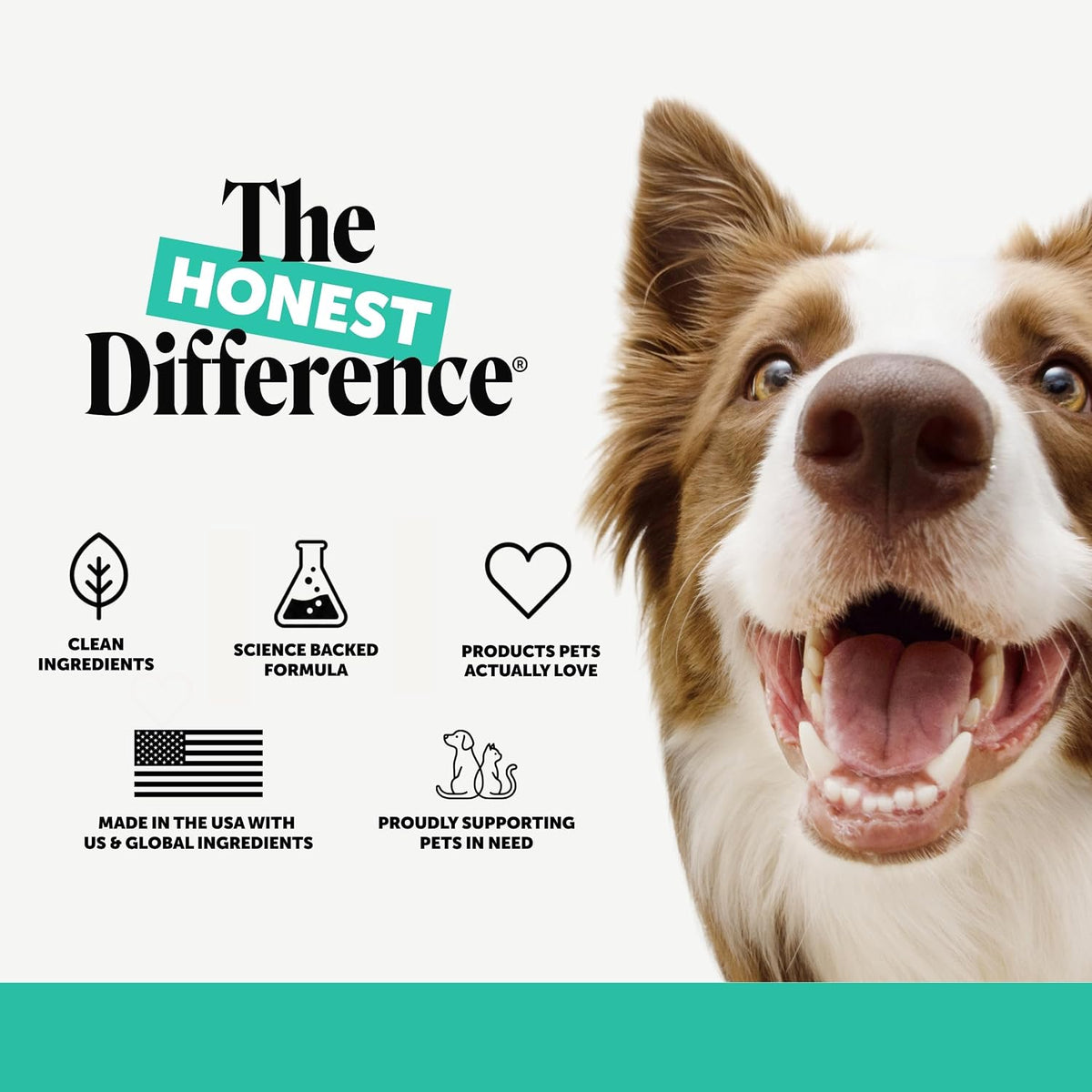 Pet Honesty Vet Recommended Cat & Dog Dental Wipes with Zinc, 30 ct