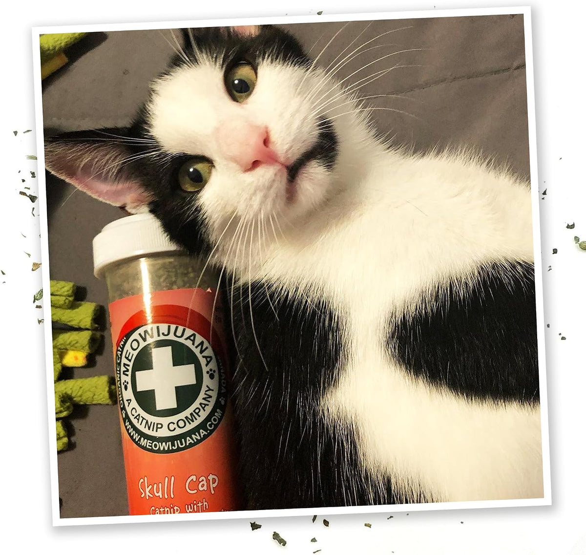 Meowijuana Jump 'n' Jamb Sloth Cat Toy and Catnip Blend | High Potency