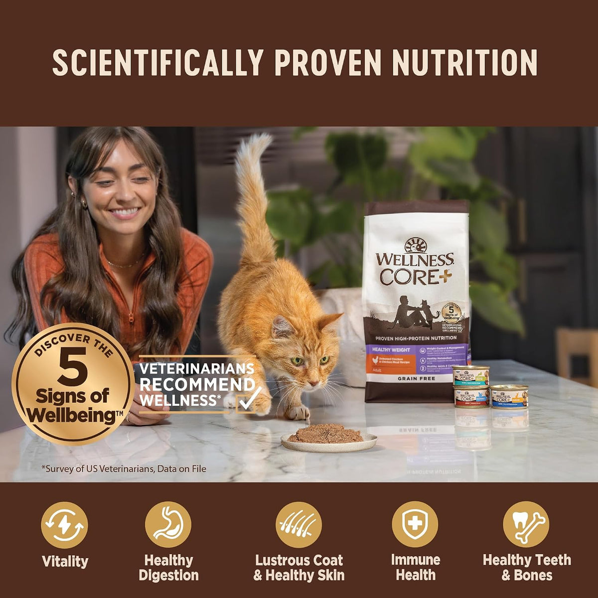 Wellness CORE+ Hairball Pate Adult Canned Wet Cat Food, Natural, Protein Rich, Grain Free, Chicken Recipe, 2.8 oz, Pack of 12 Cans