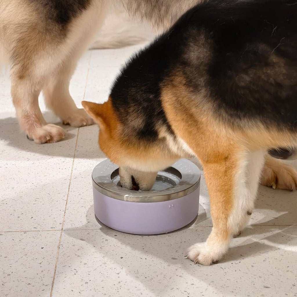 Stainless Steel Dog Water Bowls, No Spill Water Bowls for Dogs, Lightpurple