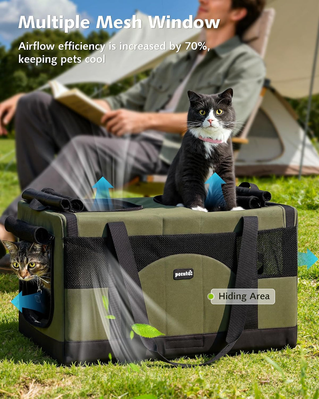 Pecute Large Cat Carrier, Soft Double Pet Crate for 2 Cats Travel, Green