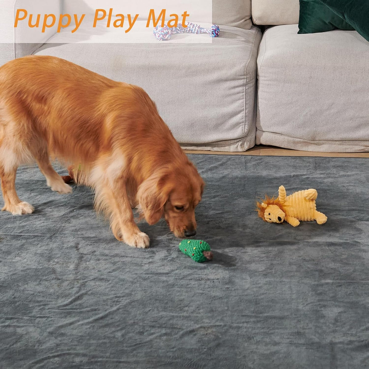 Washable Pee Pads for Dogs,2 Pack 48x48 Reusable Whelping Pads for Playpen | Waterproof, Absorbent, Leakproof,Dog Maat for Old Dog Incontinence, Potty Training, Order Control, Fast Dry