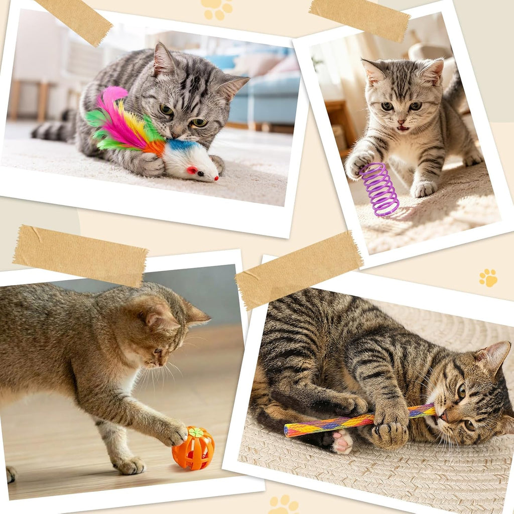 iCAGY 25 Pcs Cat Toys Set, Cat Tunnel Toy for Indoor Cats, Kittens