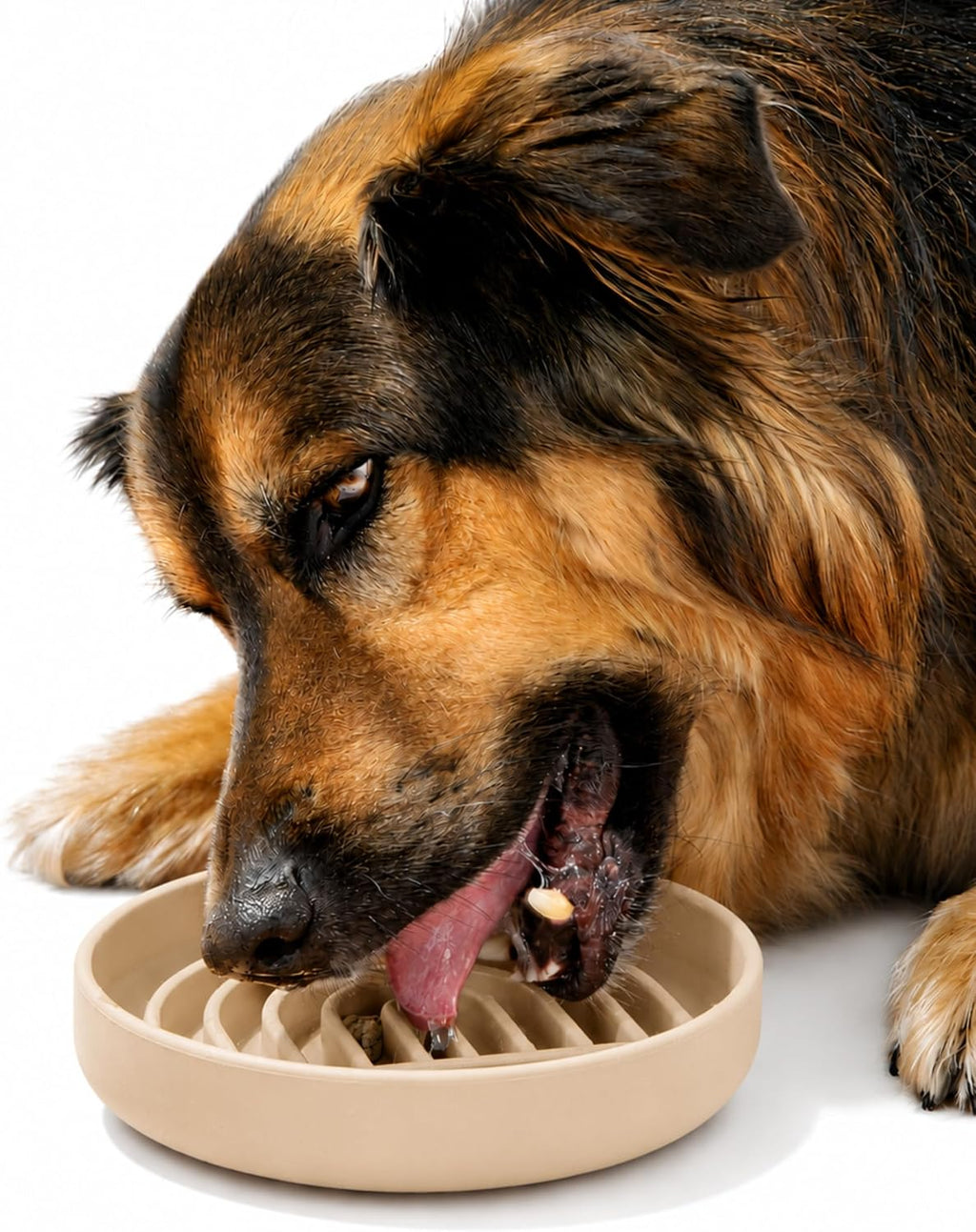 Slow Feeder Dog Bowl - Silicone Dog Bowl, Medium, 7.5" x 1.5" - Sand