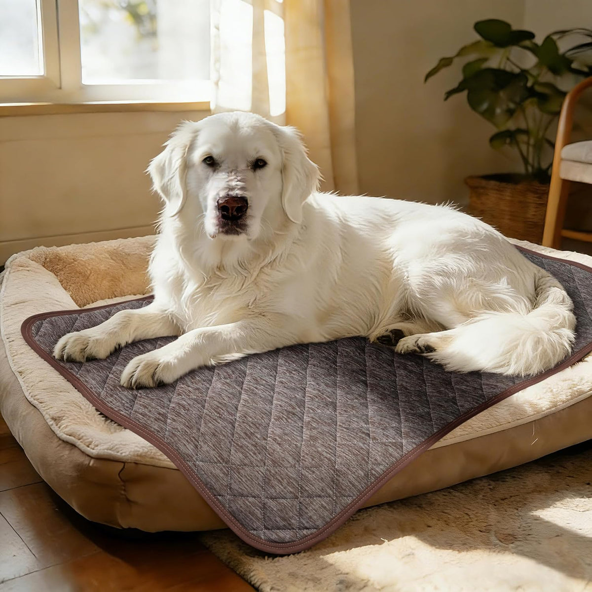Cooling Mat for Dogs, 60''x40'' One-Way Dog Cooling Mat