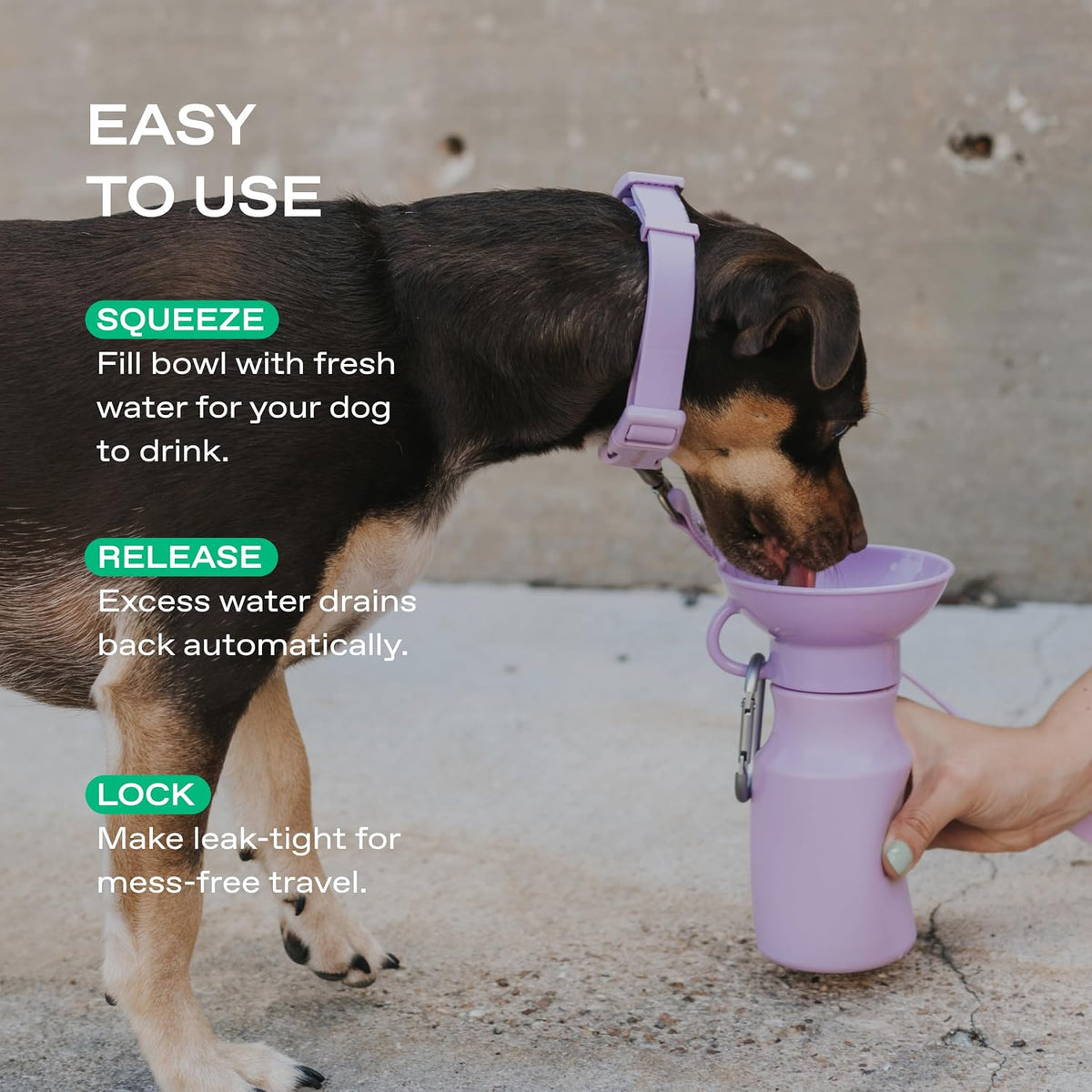 Springland 15oz Classic Portable Dog Water Bottle with Built-in Bowl, Lilac | Leak-proof, BPA-free, one-hand squeeze, for travel & hiking, fits car cup holders, great dog gift, as seen on Shark Tank 