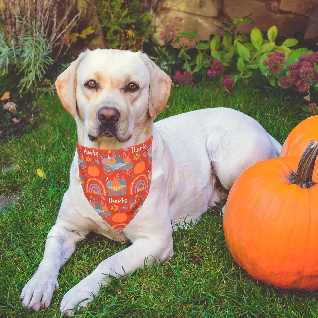 ADOGGYGO Thanksgiving Dog Bandana, Fall Harvest Pumpkin Dog Scarf, X-Large