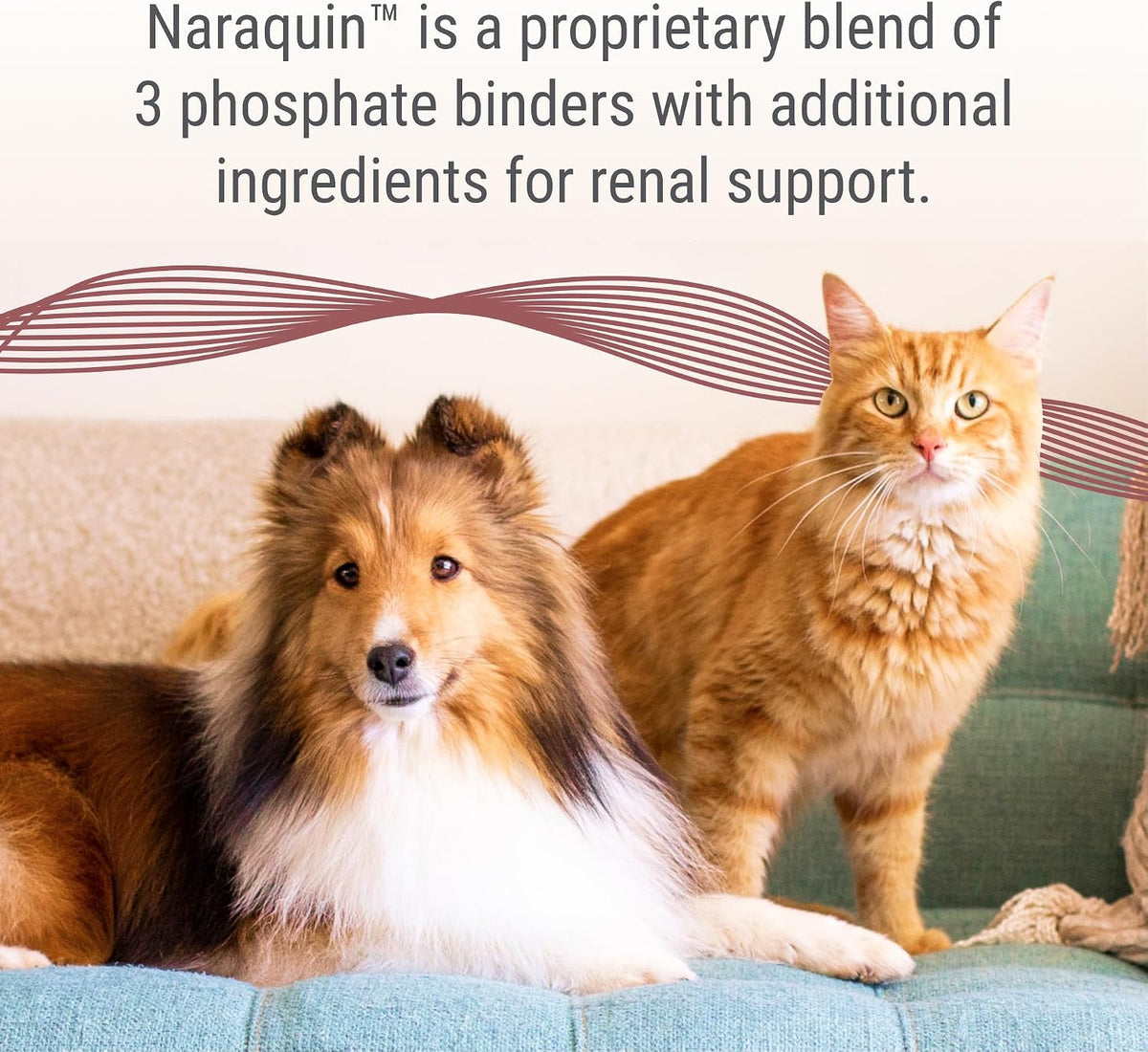 Nutramax Laboratories NARAQUIN™ Dietary Phosphate Binder + Renal Support Supplement for Cats & Dogs, 60 Count