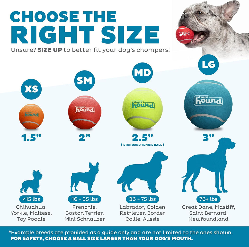 Outward Hound Squeaker Ballz – Squeaky Tiny Tennis Balls for Small Dogs Under 15 lbs, Fetch & Training, X-Small (1.5"), 4-Pack