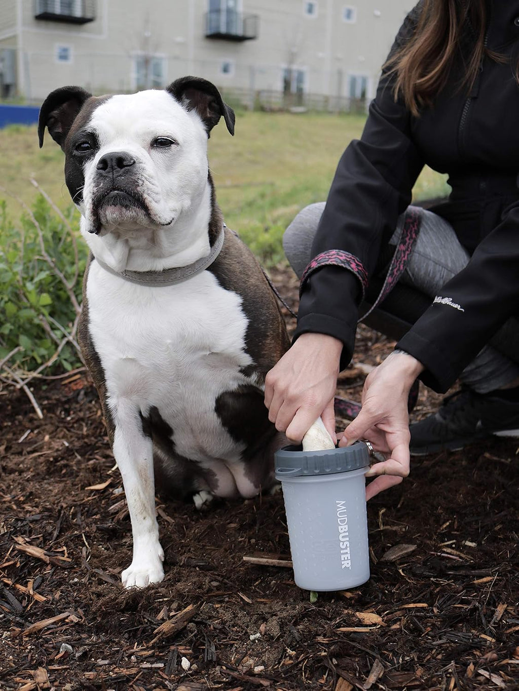 Dexas Lidded MudBuster Medium Dog Paw Cleaner, Light Gray, Fits 1.5"-2.5" Wide Paws, Gentle Silicone Bristles for Quick, Easy Cleaning 